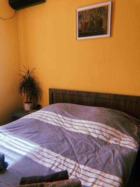 Home Away Home In Heart Of Tbilisi Eksteriør bilde